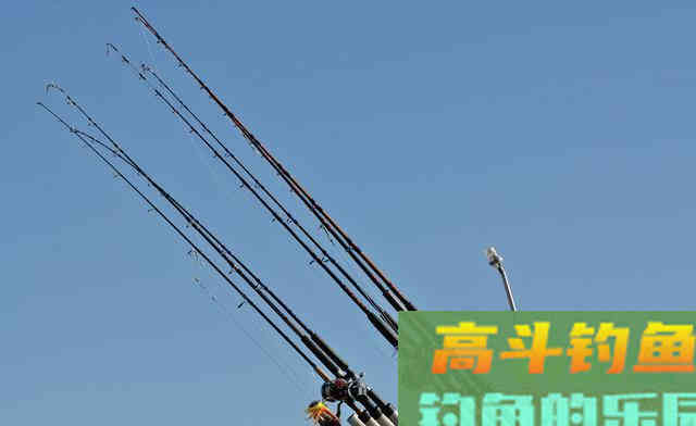 湖库江河中如何用海竿垂钓鲤鱼?谈技巧和装备选择 湖库江河中如何用海竿垂钓鲤鱼?谈技巧和装备选择