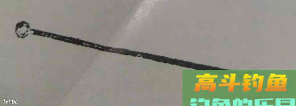 黄鳝到底是不是鱼？夏钓鳝鱼最当时