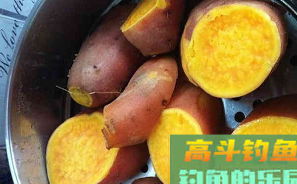 民间钓鲤鱼特效饵料配方