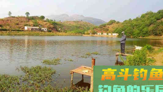 春季手竿钓鲤鱼的注意事项