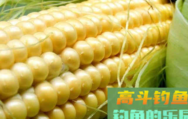 暮春南方大水域，详解如何垂钓大草鱼
