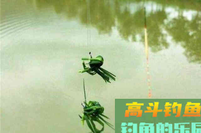 草鱼可以这样钓,效果绝对杠杠的 草鱼可以这样钓,效果绝对杠杠的