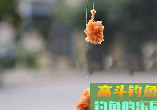 冬季钓鲫鱼,为什么鱼情差?有5个常识性的错误 冬季钓鲫鱼,为什么鱼情差?有5个常识性的错误