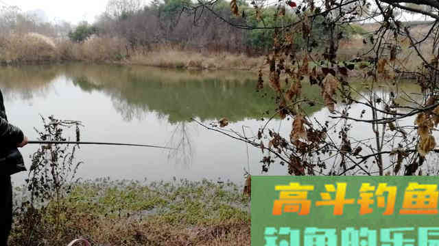 冬钓鲫鱼这些小技巧你要知道,别总是老一套 冬钓鲫鱼这些小技巧你要知道,别总是老一套
