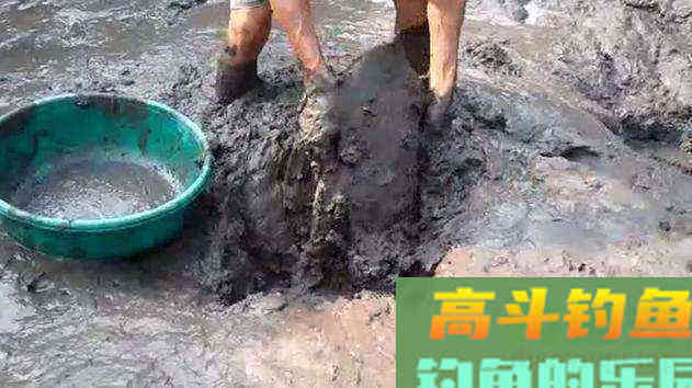 河道经常发现狡猾甲鱼露出水面，要怎么钓上岸