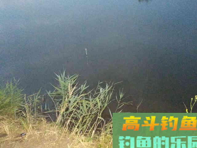 草鱼很贪吃，那么对于钓鱼人来说就好办