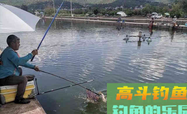 大水面低密度的黑坑如何钓鲤鱼？老钓友给你支2招