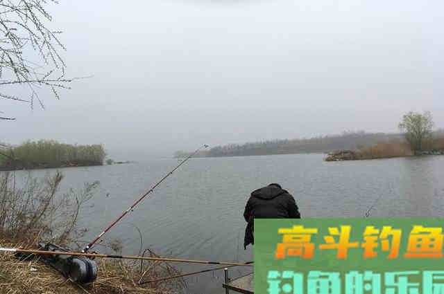 深秋钓鲫鱼，认准这些地方，一准不走空