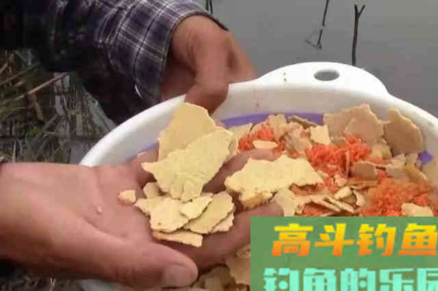 难怪方圆十米的鲫鱼都来凑热闹，有这窝料
