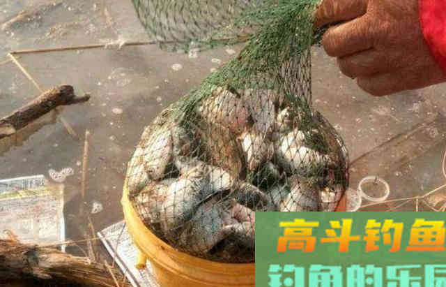 冬季户外野钓鲫鱼时需要注意的3个地方