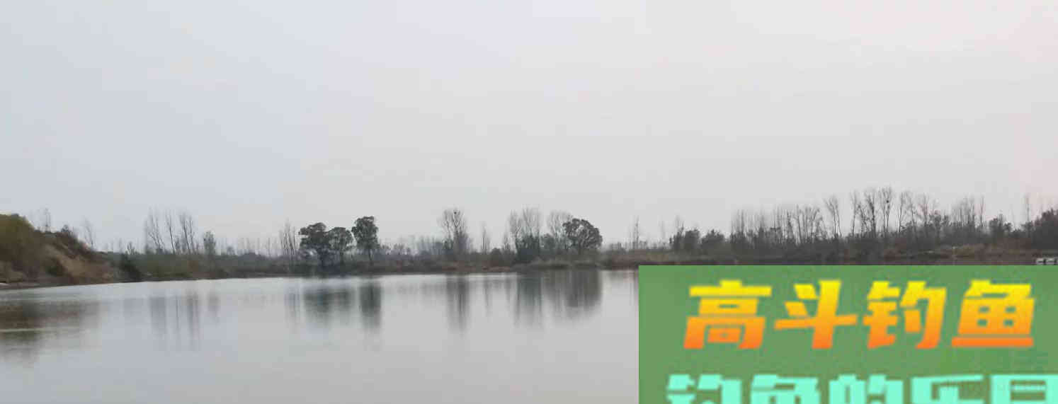 春季钓鲫想要竿竿有口，钓竿长度有讲究
