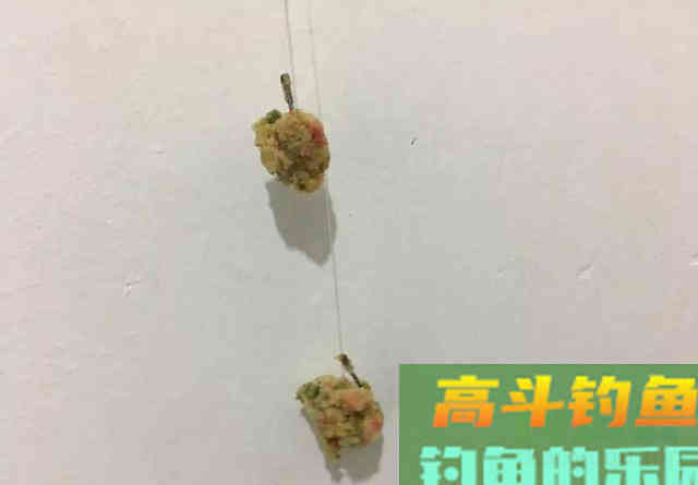 用螺鲤从来没钓到过鲤鱼？到底是谁的原因