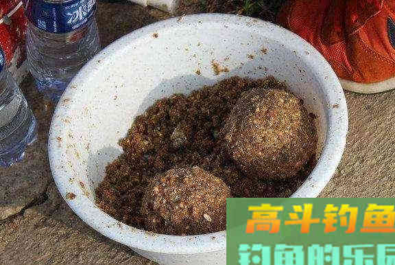 入冬前搞鲤鱼，饵料中除了腥味饵，别忘了这几种饵料