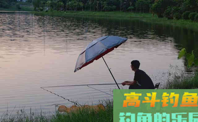 春末升温好野钓，自然水域钓草鱼这三招是重点