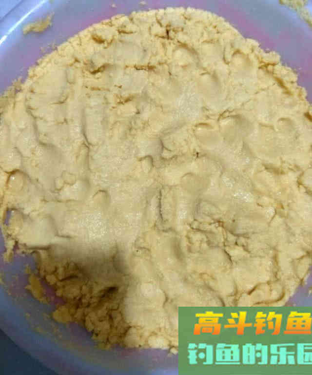 如何区分鲢鱼和鳙鱼,又该如何垂钓此鱼呢?附自制饵 如何区分鲢鱼和鳙鱼,又该如何垂钓此鱼呢?附自制饵