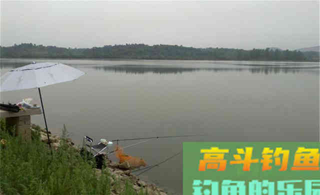野钓鲤鱼,天气钓位都跟光线有关 野钓鲤鱼,天气钓位都跟光线有关