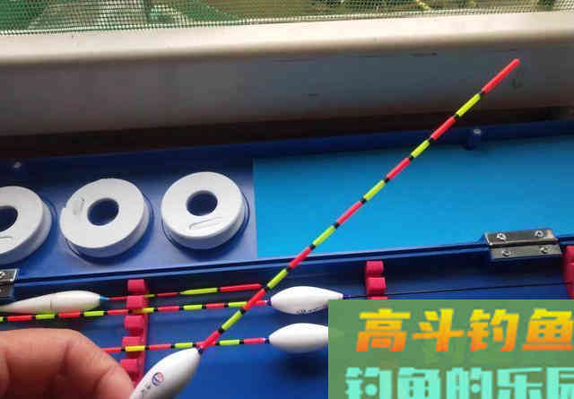 钓鲢鳙打不到正口？那是提竿不及时