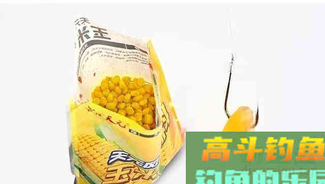 钓青鱼使用玉米饵料垂钓，我们应该如何调钓