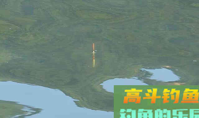 天气转凉降温后,鲫鱼应该怎么钓 天气转凉降温后,鲫鱼应该怎么钓
