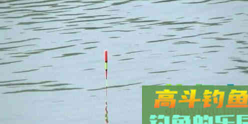 鲫鱼漂相形成的原因，以及提竿空竿的原因