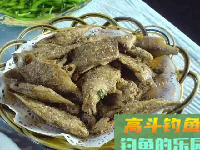 还在看不起&ldquo;屎光皮&rdquo;？论条5块，按斤上百，我冰箱中唯一的存鱼