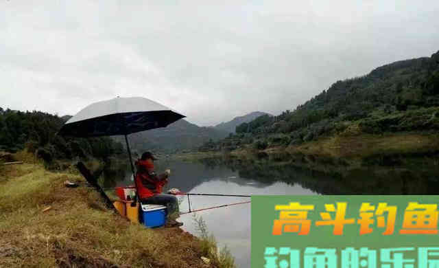 初冬钓鲫鱼,钓深还是钓浅是个大问题 初冬钓鲫鱼,钓深还是钓浅是个大问题