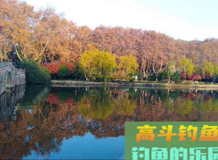 冬钓大鲫气温与鱼性和水深浅定位，窝饵与酒米作用