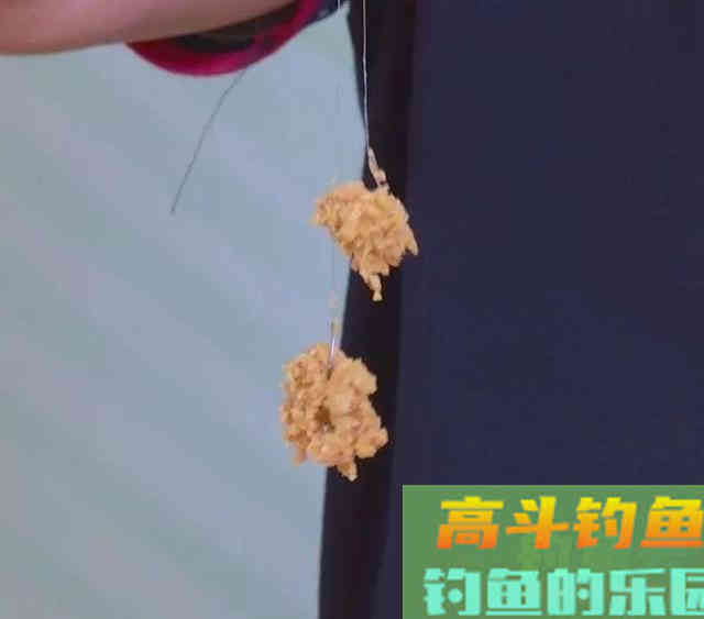 为什么钓了几条鱼后就没动静了?看老钓友如何解决 为什么钓了几条鱼后就没动静了?看老钓友如何解决