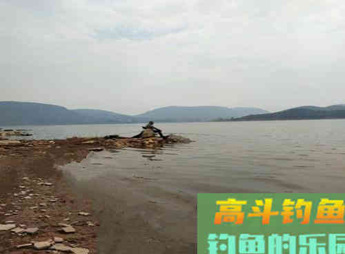 野生鲤鱼生性狡猾难钓,老钓友教你两招解决 野生鲤鱼生性狡猾难钓,老钓友教你两招解决