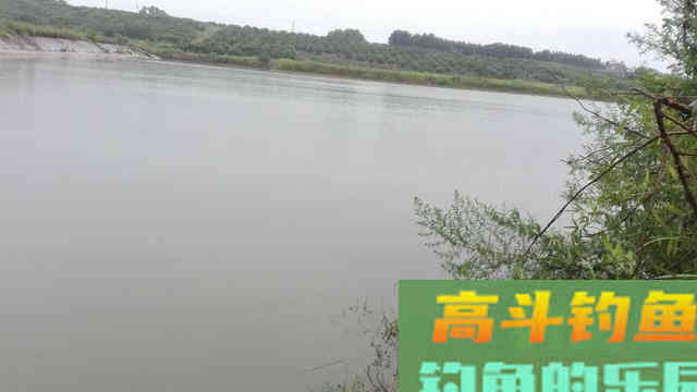 为何说野钓鲤一定要找坎 为何说野钓鲤一定要找坎
