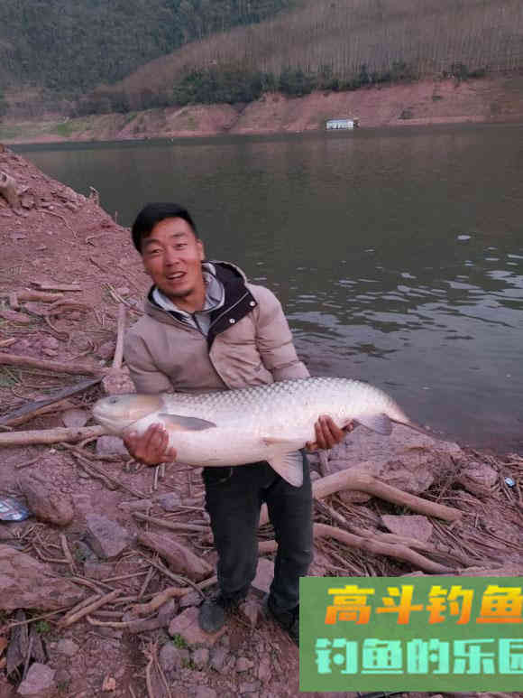 钓草鱼饵料这么多,到底该用哪一样 钓草鱼饵料这么多,到底该用哪一样