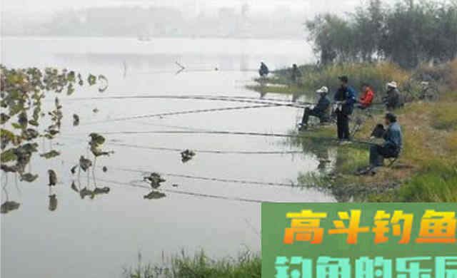钓鲫鱼,在水草区域选钓点,要找这3种 钓鲫鱼,在水草区域选钓点,要找这3种