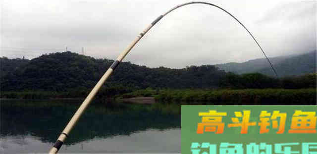 别纠结草鱼到底钓底还是钓浮，掌握分层法