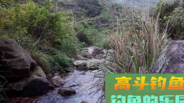大西南的深山溪流里钓山鲶，这种极品鱼吃起来弹嘴