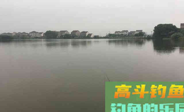 面对狡猾的鲤鱼，这样做才能让它安心