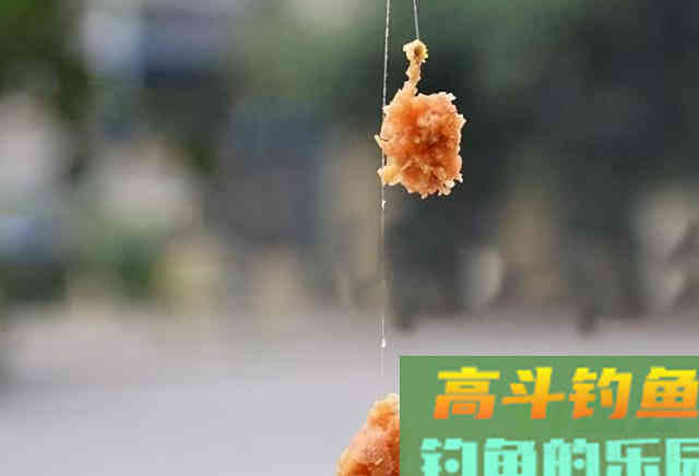 降温天大物塘无缘大物，浅水沟垂钓板鲫技巧