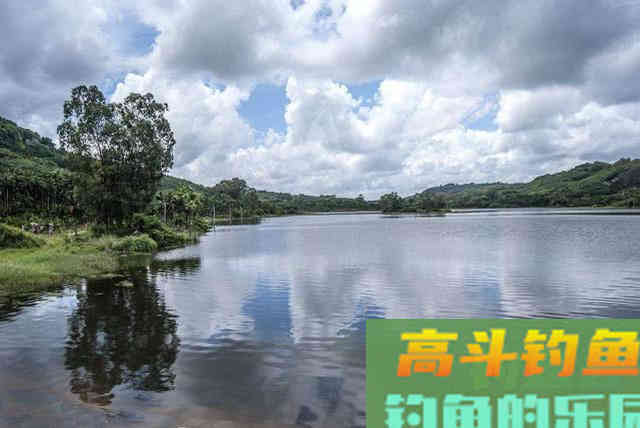谁说大草鱼难钓?从四个方面探究,分享三种钓法 谁说大草鱼难钓?从四个方面探究,分享三种钓法