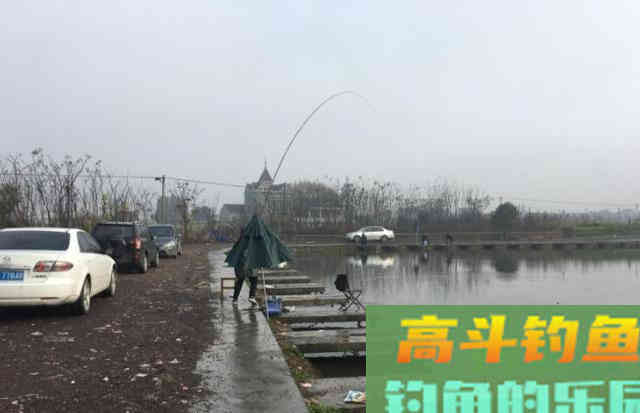 黑坑钓青鱼正口少、锚得多?要了解前因后果 黑坑钓青鱼正口少、锚得多?要了解前因后果