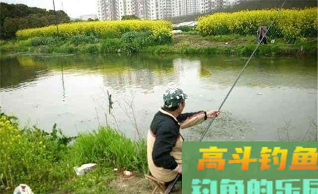 鲫鱼钓了20年,才发现这4招才是致胜的关键 鲫鱼钓了20年,才发现这4招才是致胜的关键