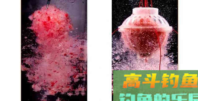 夏季鲢鳙怎么钓？掌握鱼情、水情、钓深、钓浅等