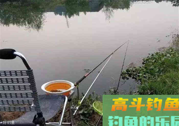 老钓鱼人分享秋季钓鲫鱼的技巧