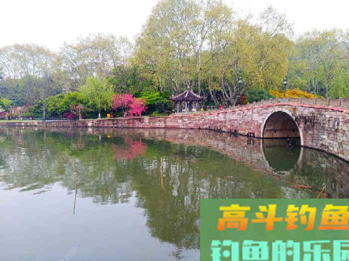 全方位谈钓鳊鱼的见解与体会，助你钓获大鳊鱼