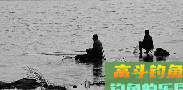 泰鲮、麦鲮凭什么把土鲮坑了？就凭你不认识它