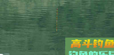 手竿钓鲢鳙:细分4个原因,避免有口不中鱼的提空竿 手竿钓鲢鳙:细分4个原因,避免有口不中鱼的提空竿