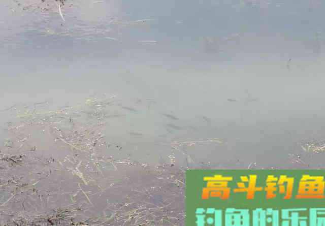 冬钓鲫,朝南坐还是朝北坐? 冬钓鲫,朝南坐还是朝北坐?