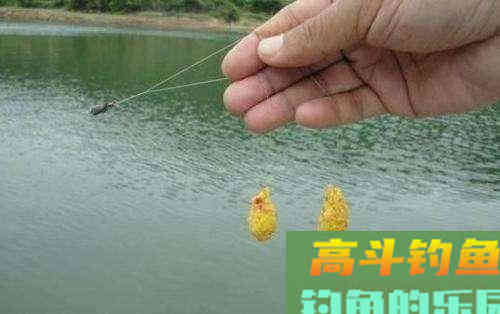 钓不到鲤鱼的原因，没有其他，其实就是以下的6点