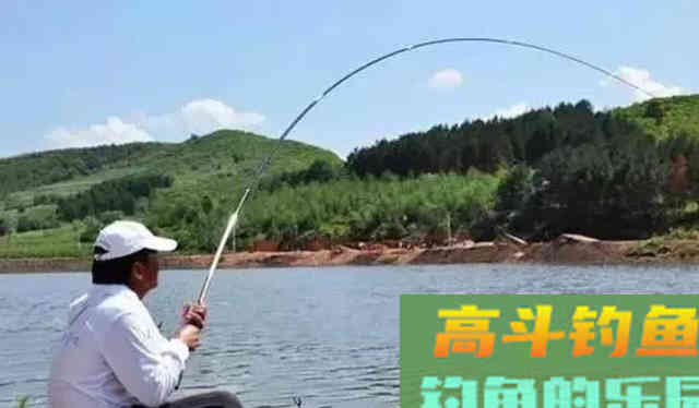 鲢鳙好不好钓？答案：好钓