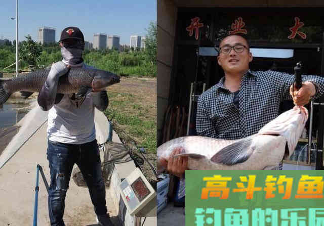 撑握用子线长度、钩距与调钓的关系,是钓获青鱼的关键 撑握用子线长度、钩距与调钓的关系,是钓获青鱼的关键