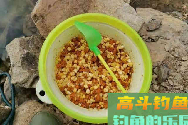 夏天征服鲤鱼，唯独这钓法百用百灵