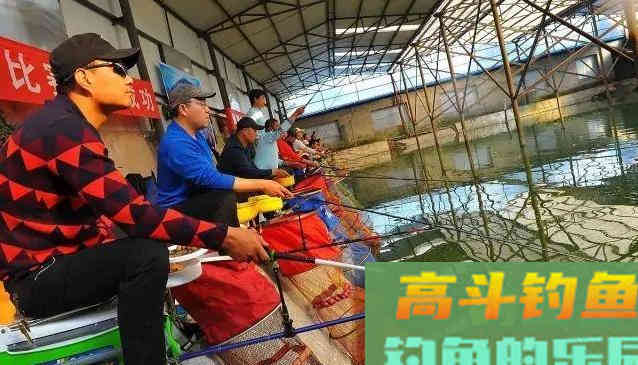 冬季大棚钓鲫鱼,想要渔获多,这三个基础技术常识要明白 冬季大棚钓鲫鱼,想要渔获多,这三个基础技术常识要明白